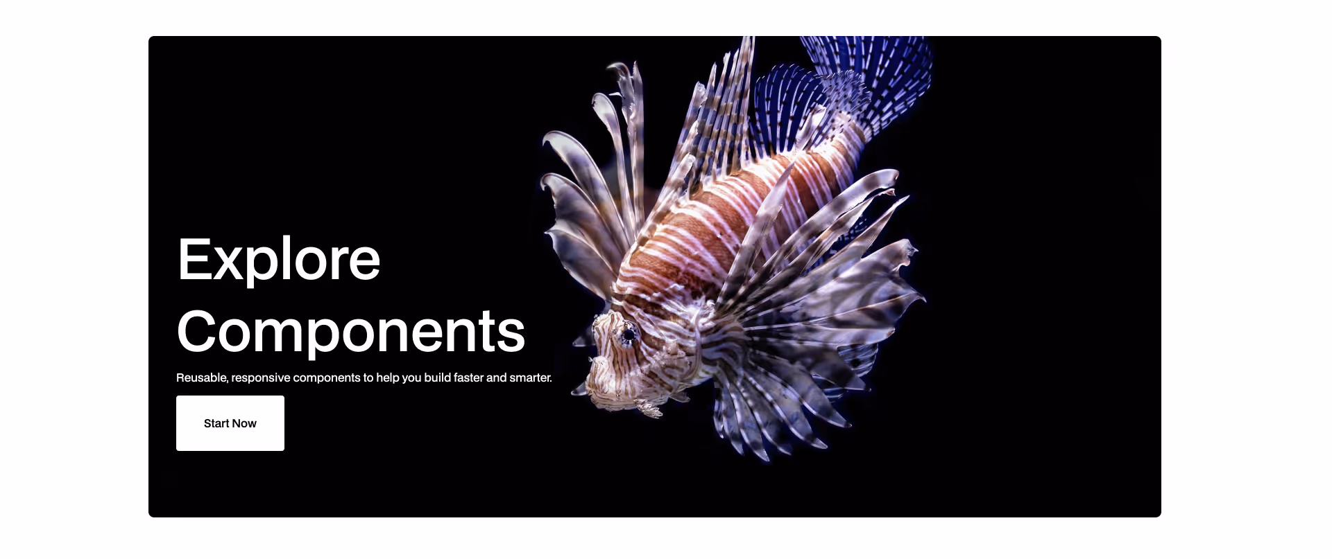 Dark hero Webflow component with overlay and message