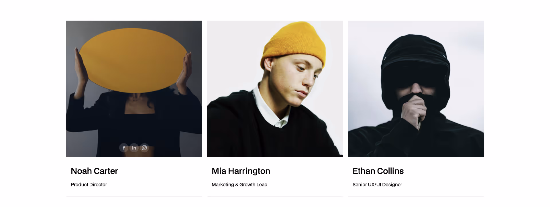 Team members profile cards — Webflow component