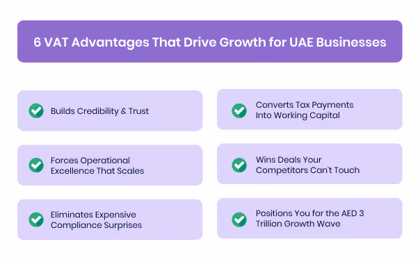 6 VAT Advantages That Drive Growth for UAE Businesses