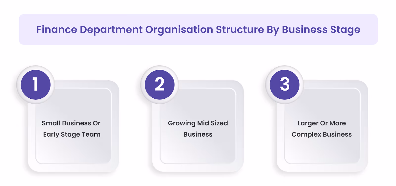 Finance Department Organisation Structure By Business Stage