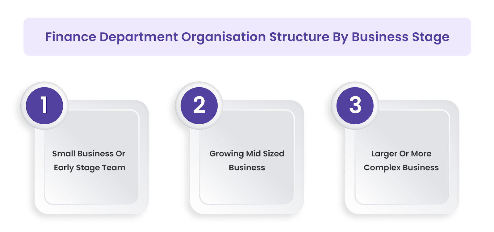 Finance Department Organisation Structure By Business Stage