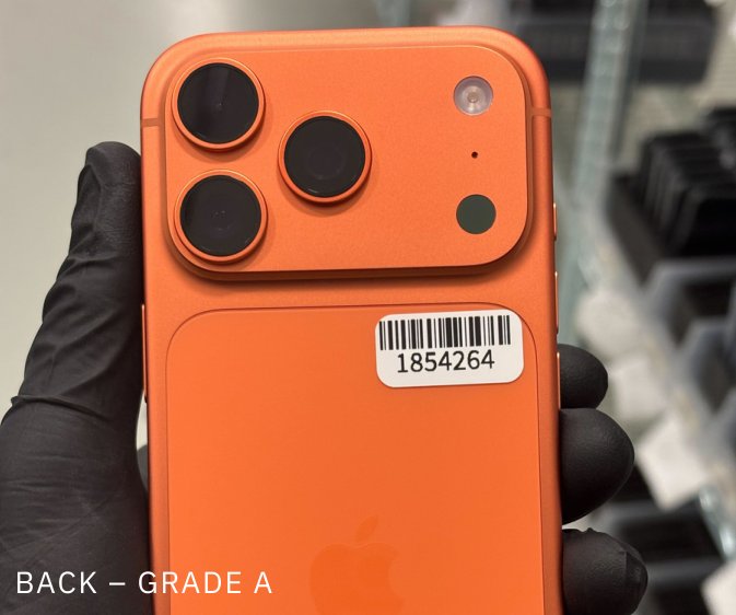 Back condition example — Grade A