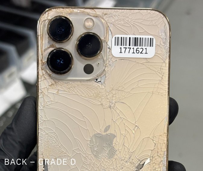 Back condition example — Grade D