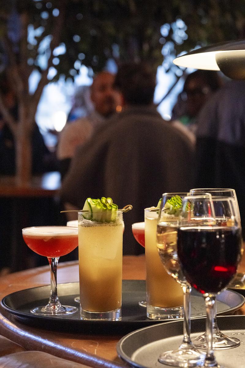 ted2026-an array of wine and cocktail offerings-the food program