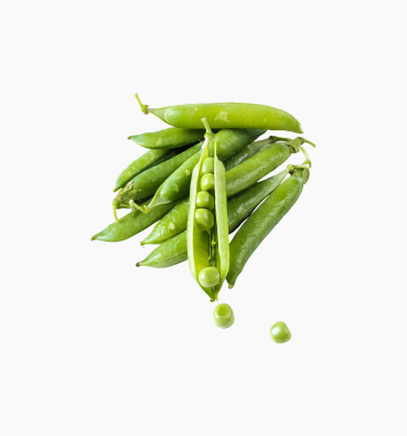 Product Details Image