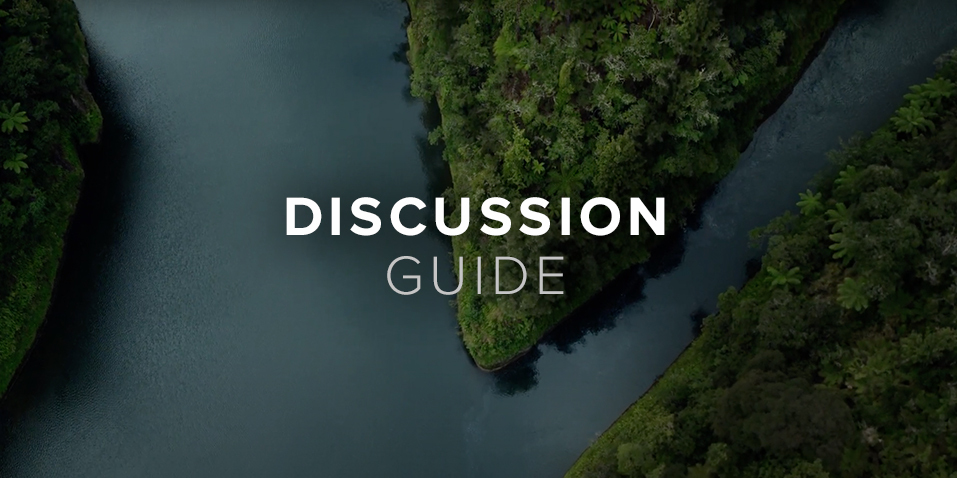 Birds eye view of waterways moving between lush green forests