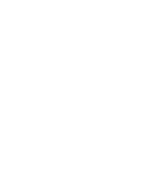 white birds image