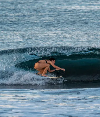 Surf Trip