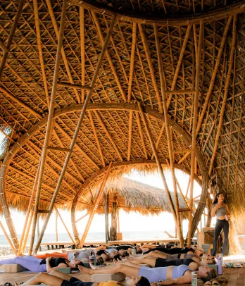 Wellness Retreat
