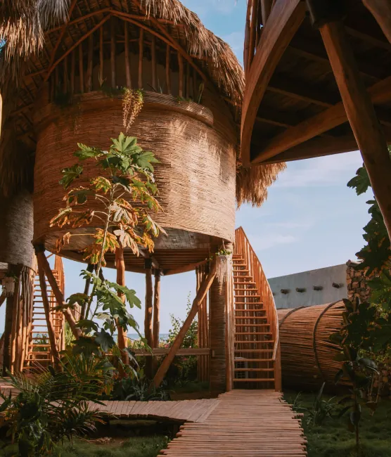 Ocean Tree Houses