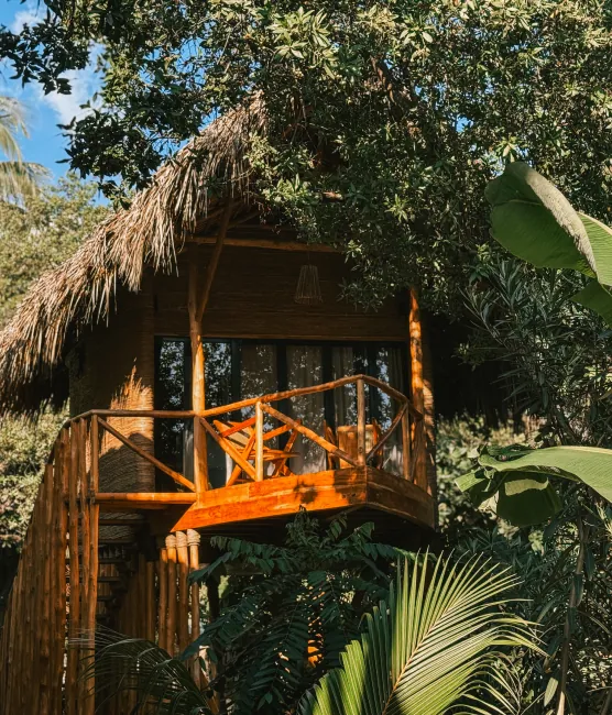 Jungle Tree Houses