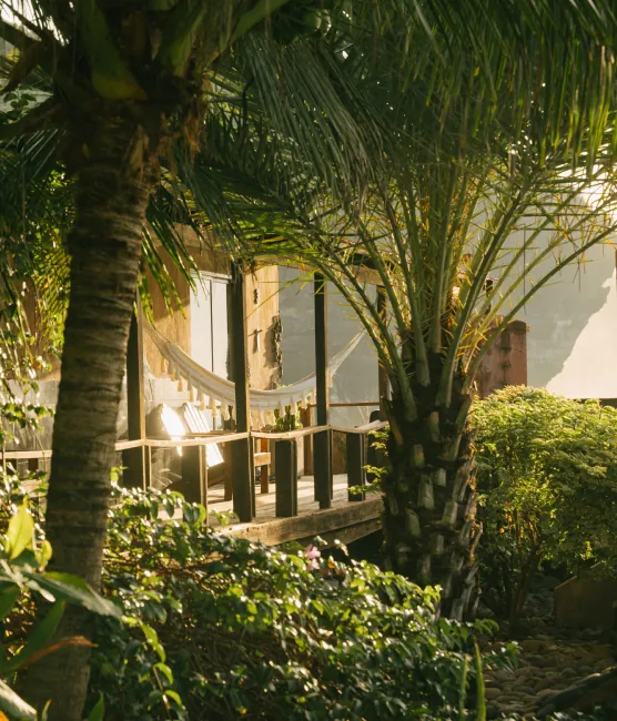 Jungle Bungalows