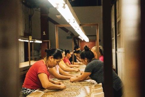 A group participating in a coffee experience