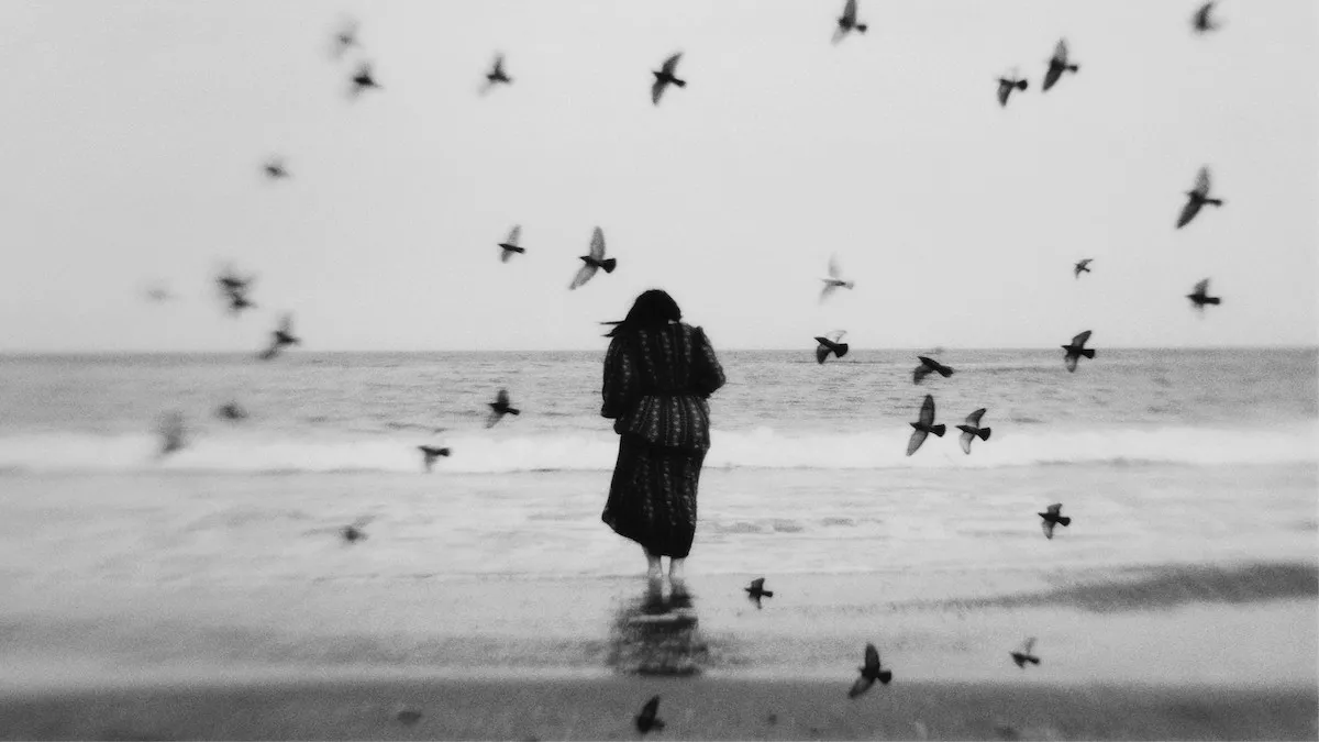 Website and Digital Design Melbourne - Disclose DX