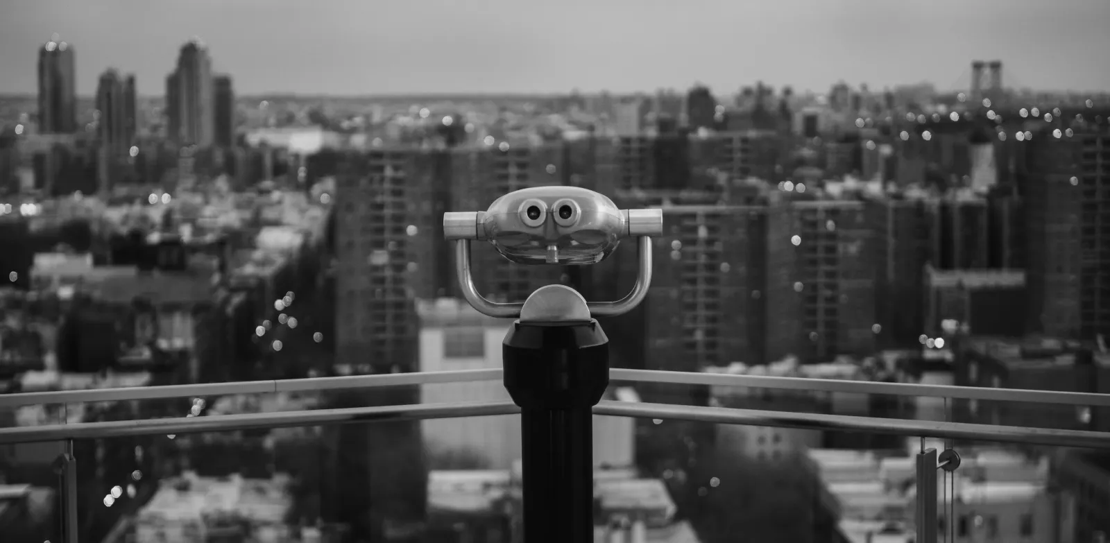 Website and Digital Design Melbourne - Disclose DX