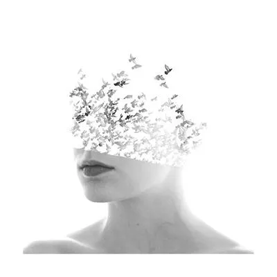 Web and Digital Design Melbourne - Disclose DX