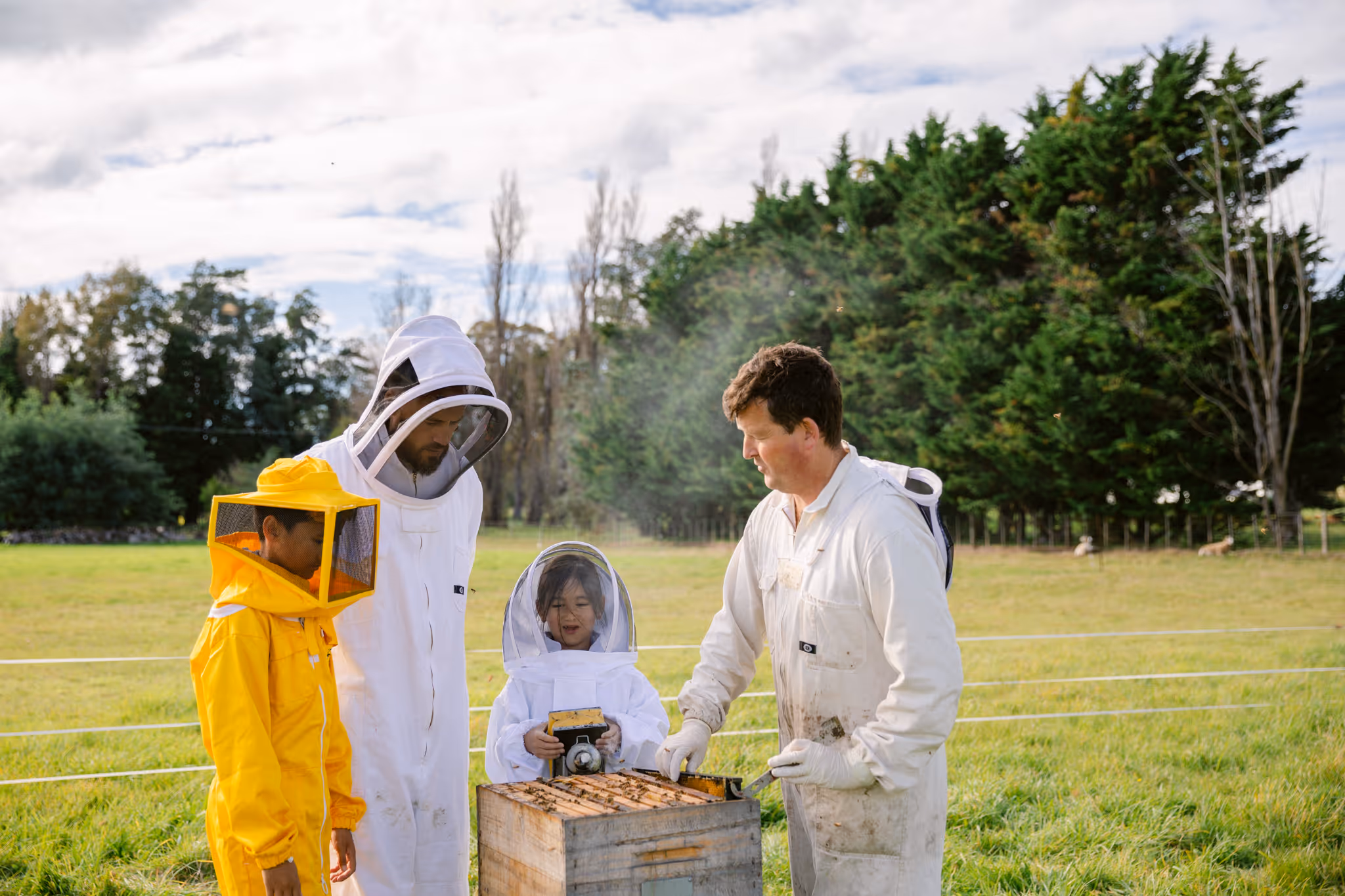 Greytown Honey, Wairarapa