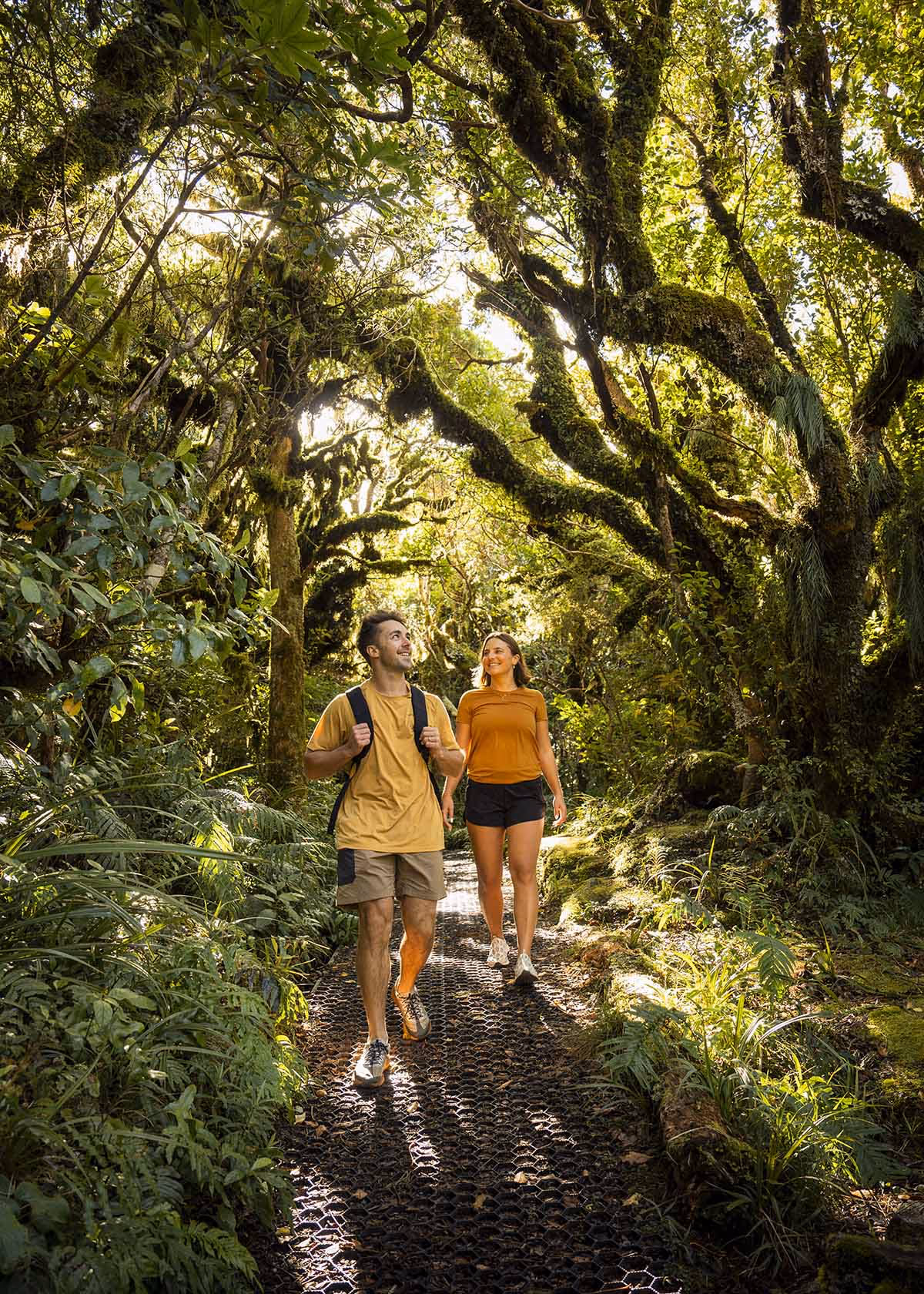 Goblin Forest, Taranaki Maunga