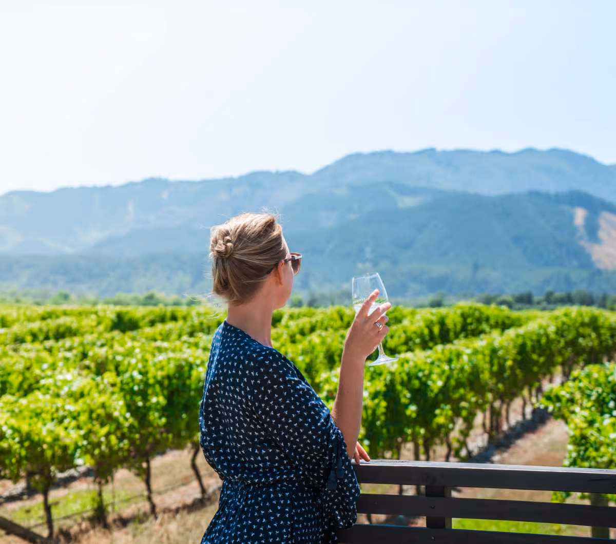 Vines Village, Marlborough