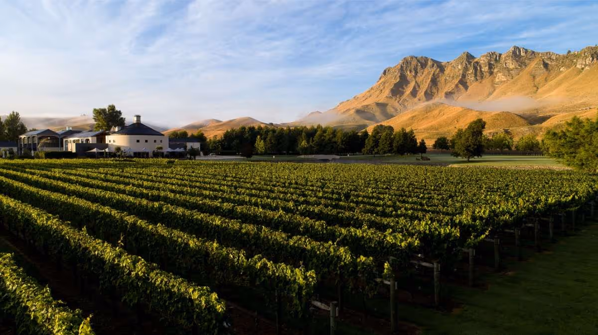 Craggy Range Giants Winery, Hawke's Bay