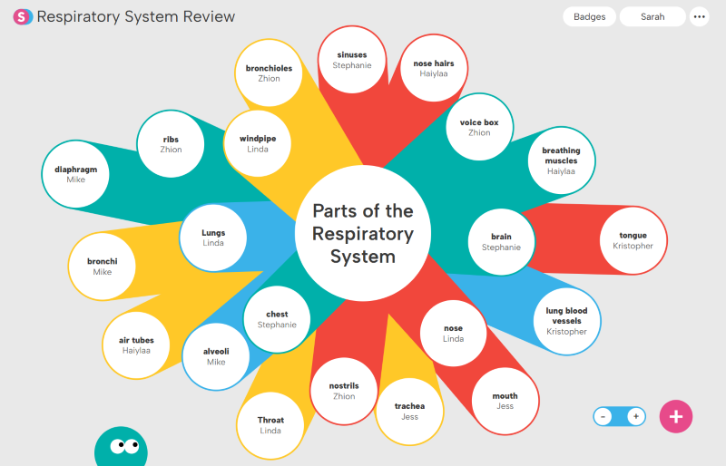 Diagram of Parts of the Respiratory System showing labeled components such as sinuses, nose hairs, voice box, breathing muscles, tongue, lung blood vessels, mouth, nose, nostrils, trachea, throat, alveoli, air tubes, bronchi, diaphragm, ribs, bronchioles, windpipe, lungs, chest, and brain.