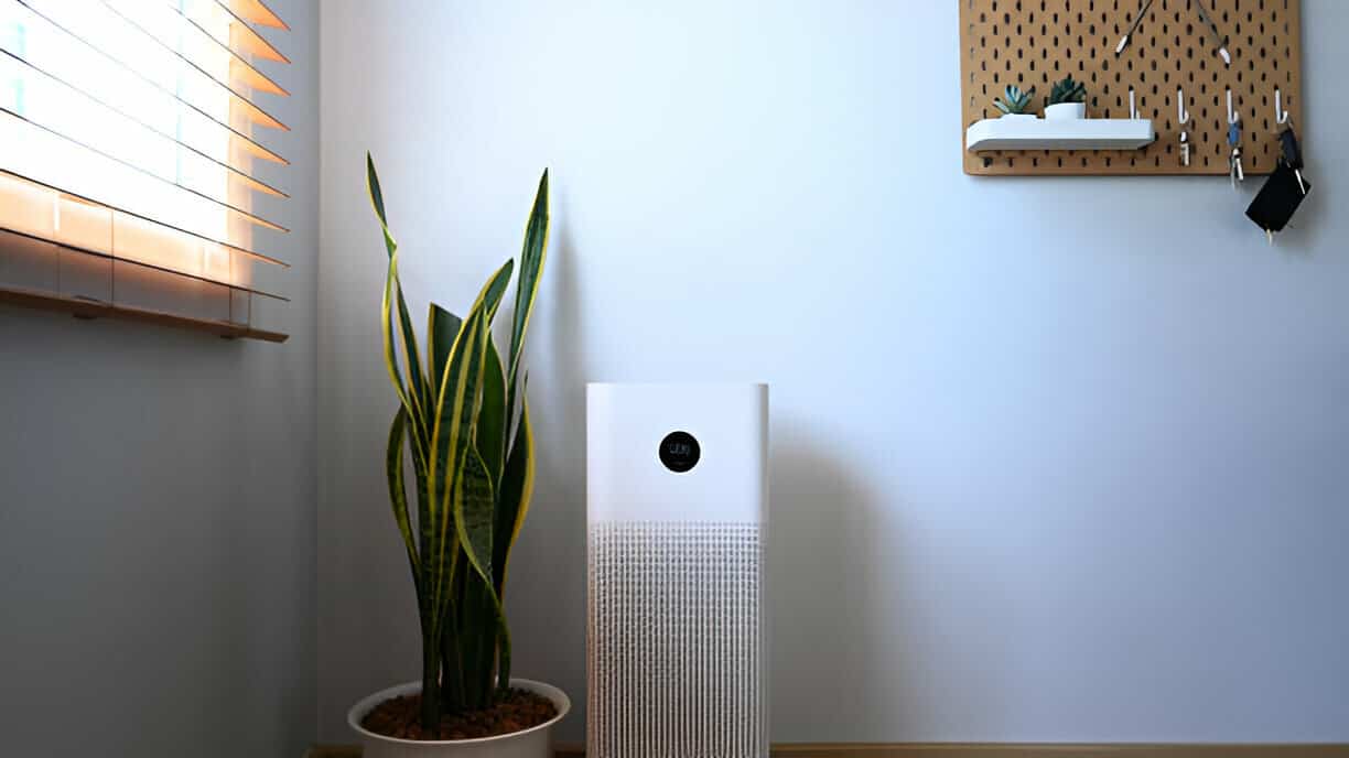 Snake plant and air purifier on minimalist white interior background