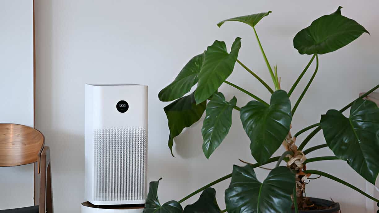 White air purifier next to large green monstera plant on wooden floor
