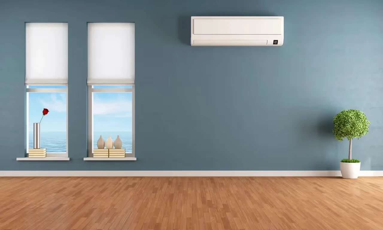 Minimalist room with windows, red rose, air conditioner, and potted plant