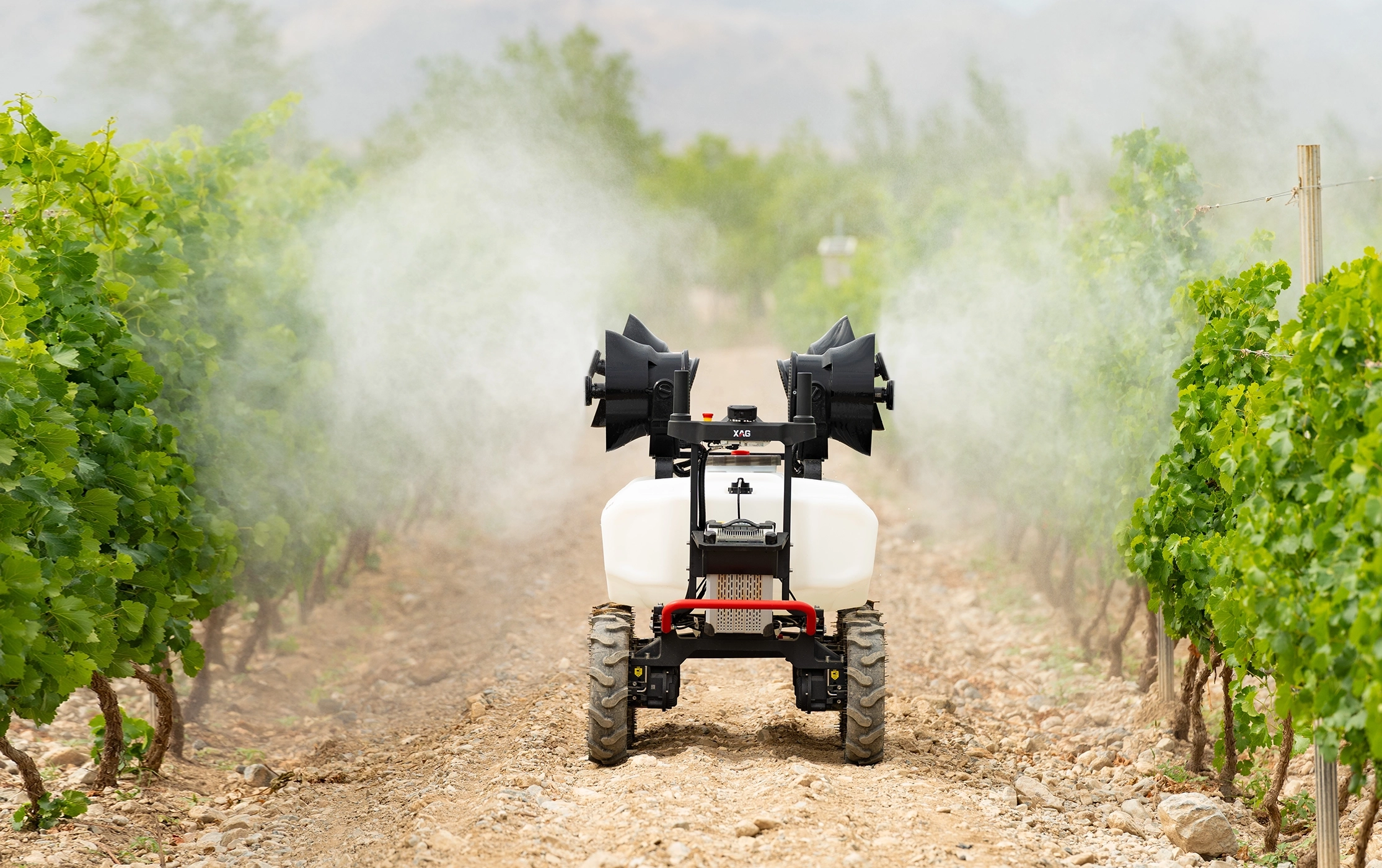 XAG R200 agricultural rover spraying between vineyard rows