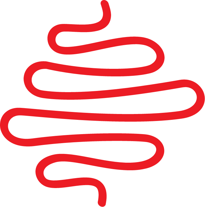 Freestone Creative Co. Logo, large red squiggle logo on design page behind design descriptive text.