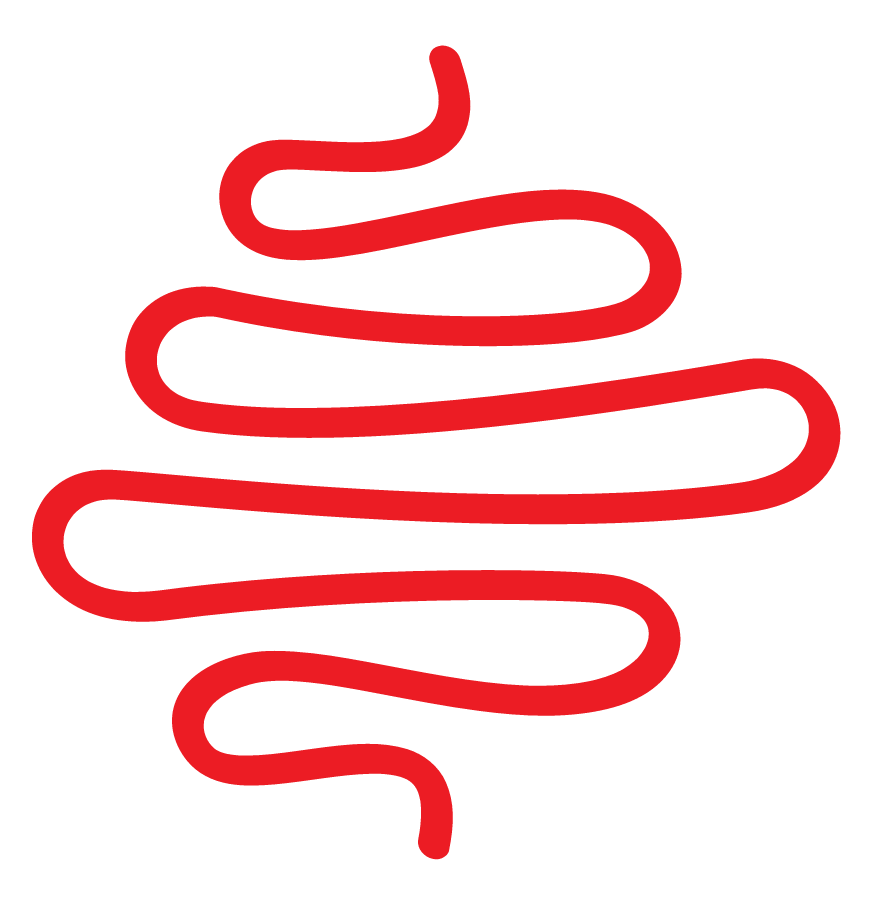 The iconic Freestone Creative Co. red squiggle shown in a design breakdown graph.