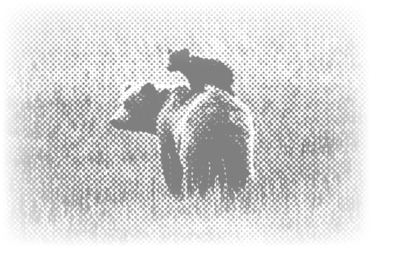 A baby bear hanging onto an adult bear in a low opacity format.