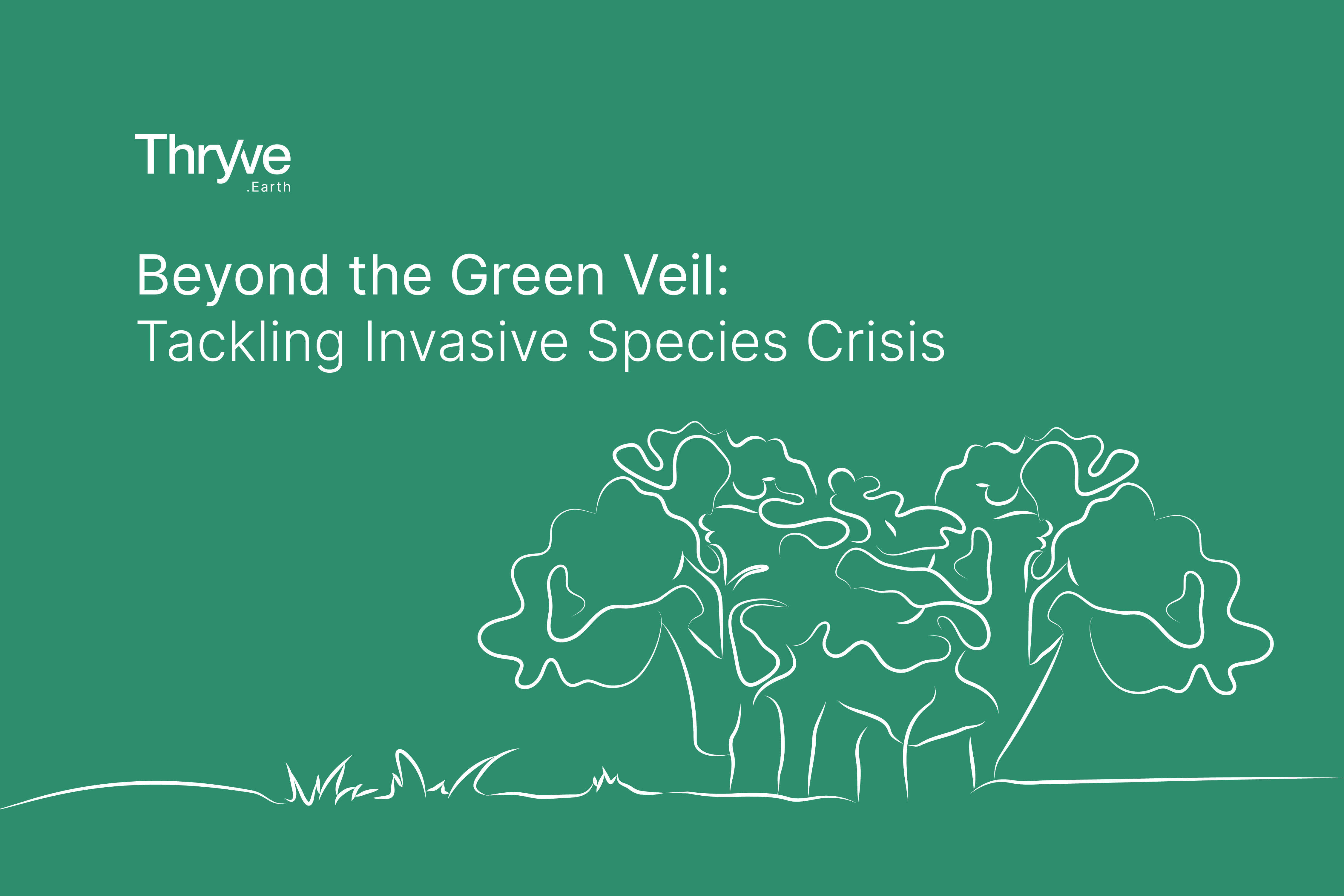 Dry, fallow land with patches of invasive plants and scattered trees under a bright sky, representing ecological degradation and the spread of invasive species.