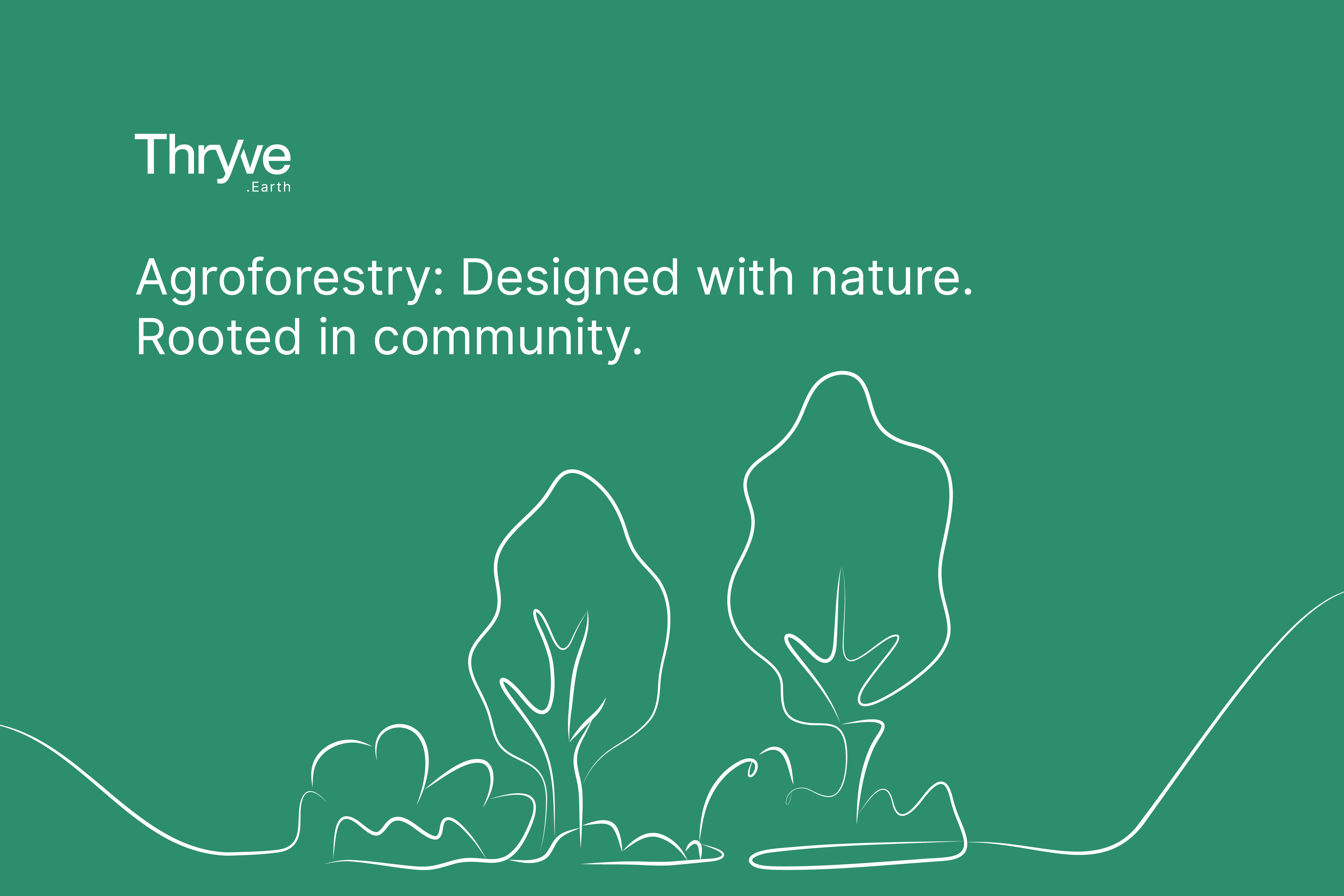 Thryve Earth blog banner on a green background featuring a minimalist white line drawing of diverse trees and shrubs. The headline text reads: "Agroforestry: Designed with nature. Rooted in community.