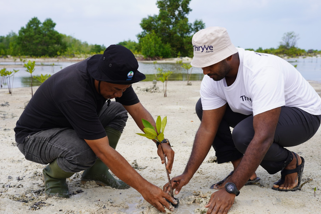 Thryve.Earth field team conducting on-ground restoration work in a green landscape