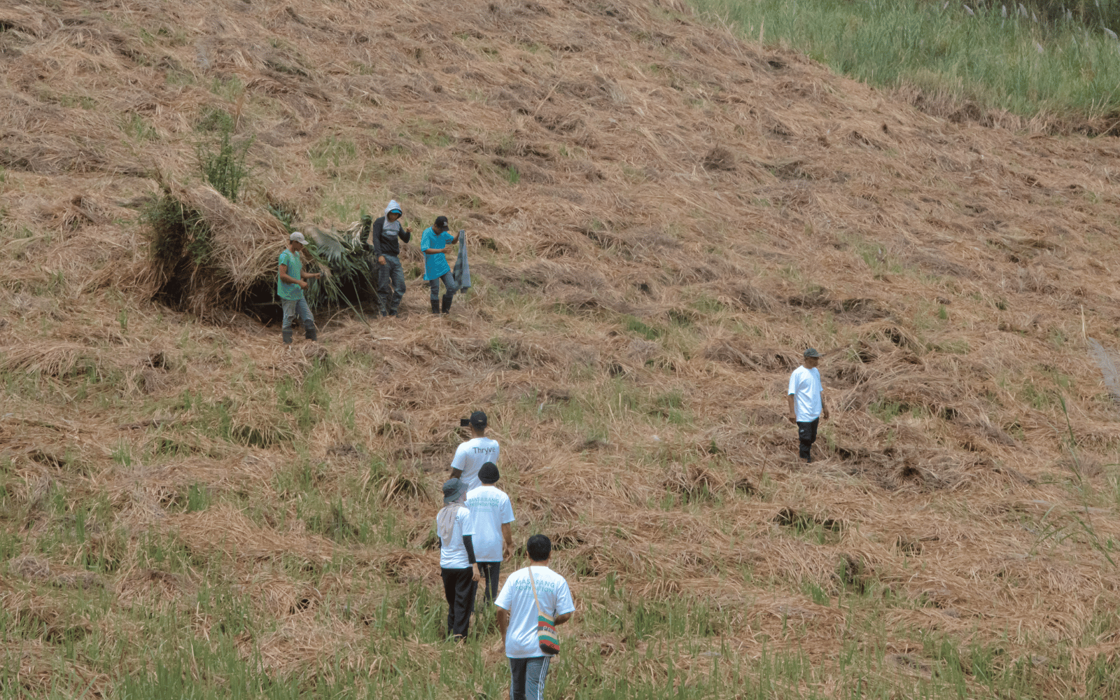 View of community workers walking through degraded grassland in Sulawesi as part of restoration fieldwork
