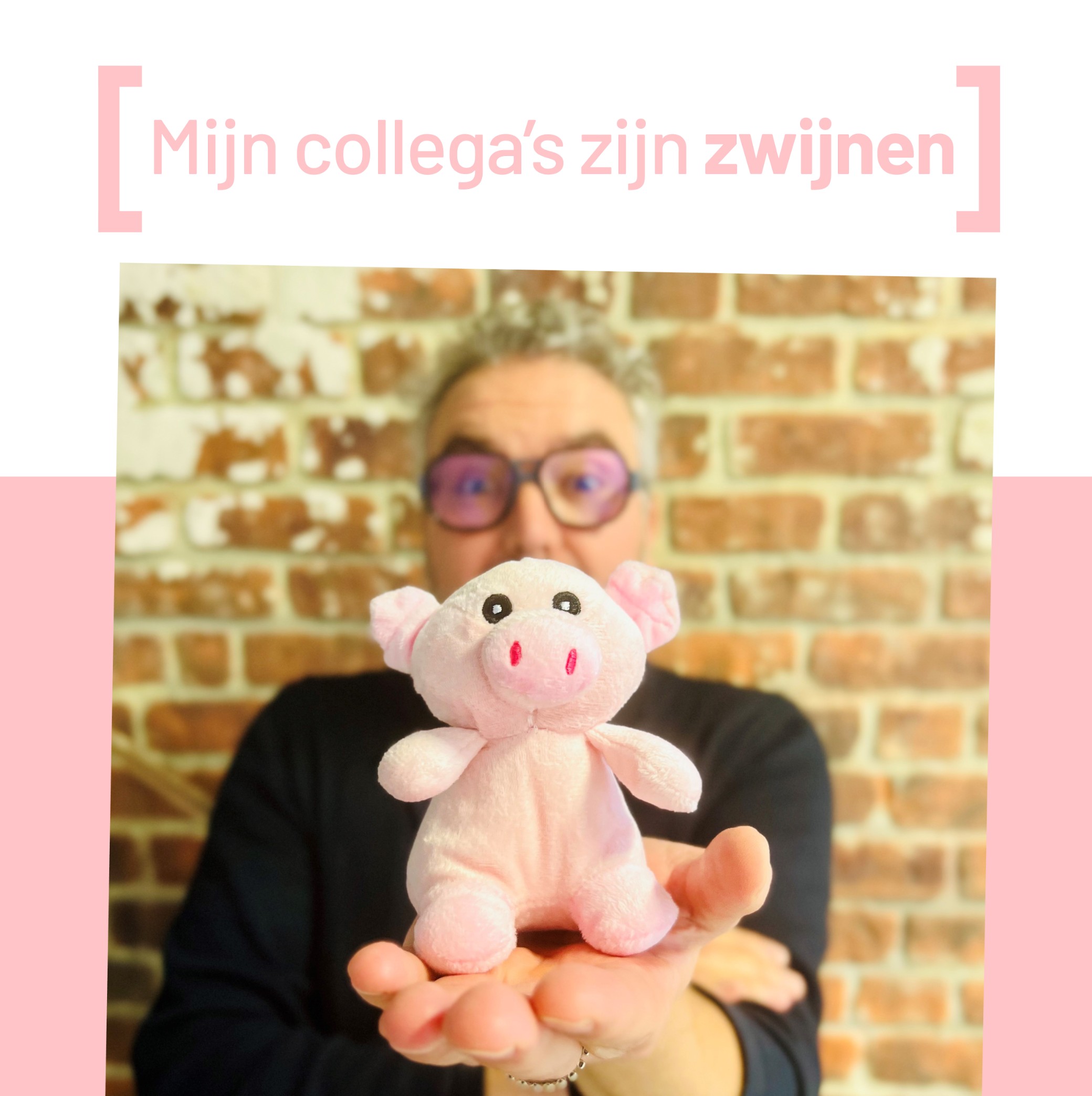 Mijn collega’s zijn zwijnen.