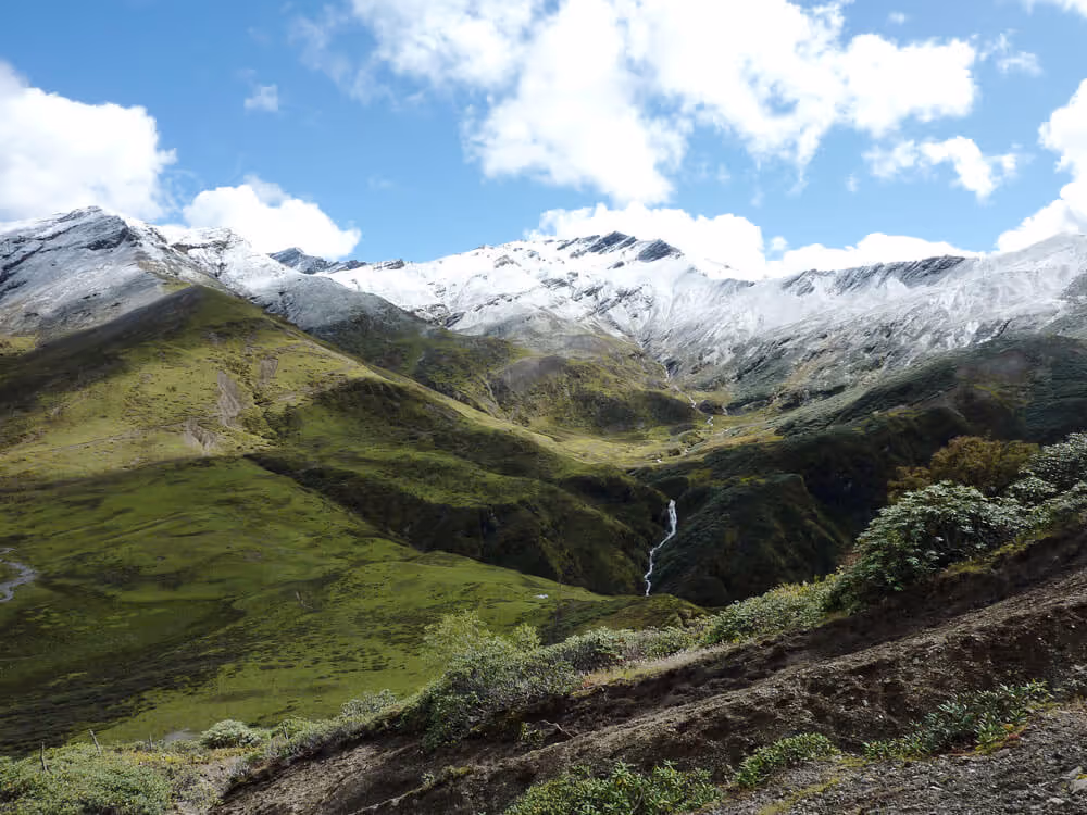 Lush green valley with a winding stream and snow-capped peaks along the Dagala Thousand Lakes Trek in Bhutan, under a bright blue sky.