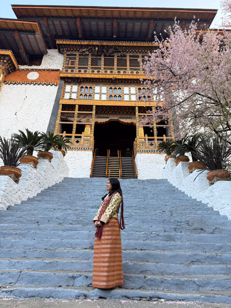 Woman in traditional Bhutanese attire standing on the steps of Punakha Dzong, framed by blooming spring blossoms in Bhutan.