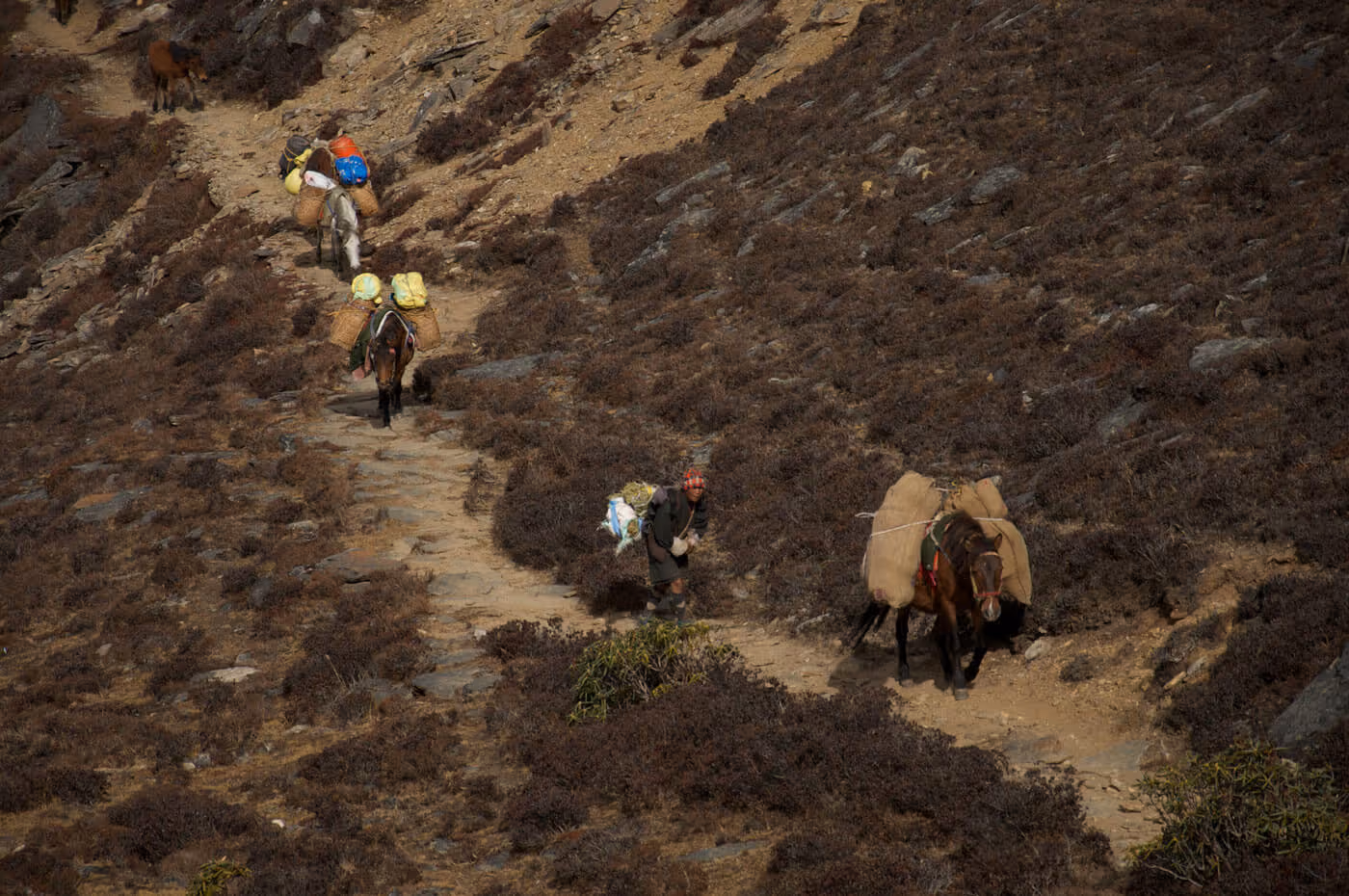 Horses and local guides make their way across a rugged highland trail, echoing Bhutan’s timeless rhythms of travel and resilience.