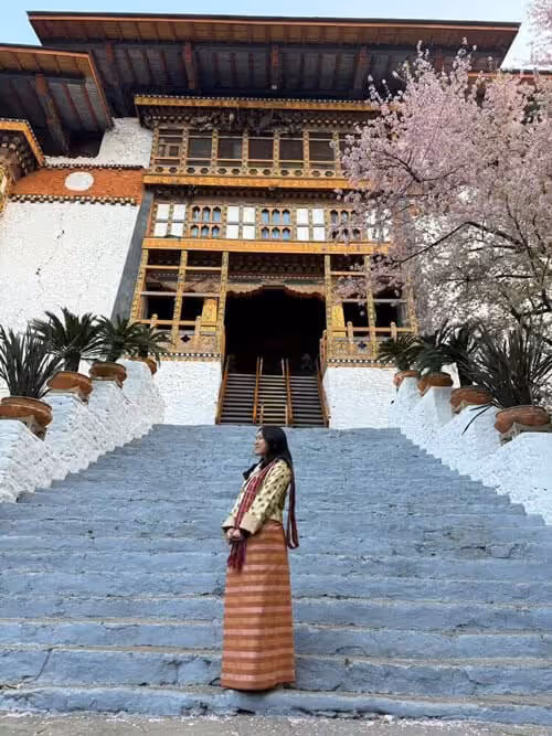 Woman in traditional Bhutanese attire standing on the steps of Punakha Dzong, framed by blooming spring blossoms in Bhutan.
