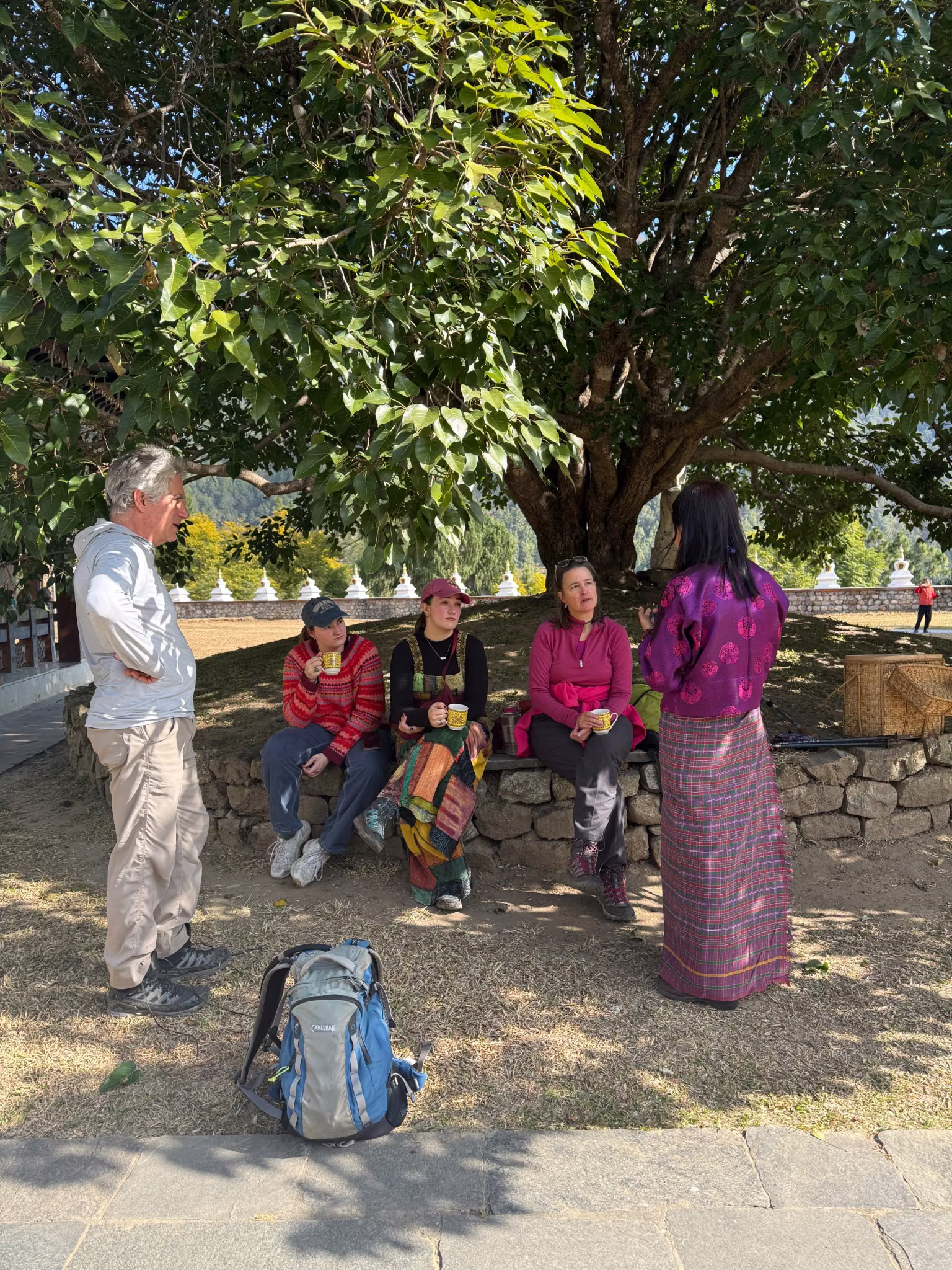 Guests sharing tea beneath a tree while listening to their guide in Bhutan.