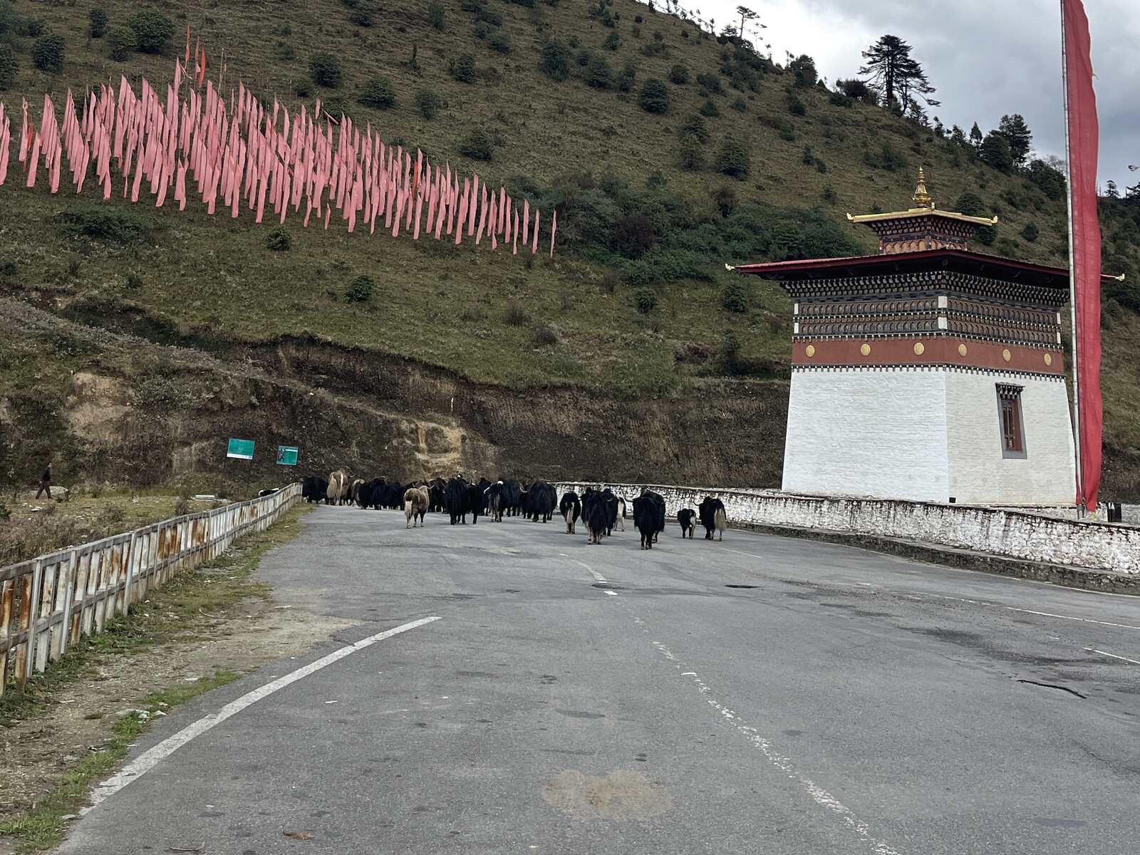 A herd of yaks crossing a mountain road beside prayer flags and a Bhutanese chorten.