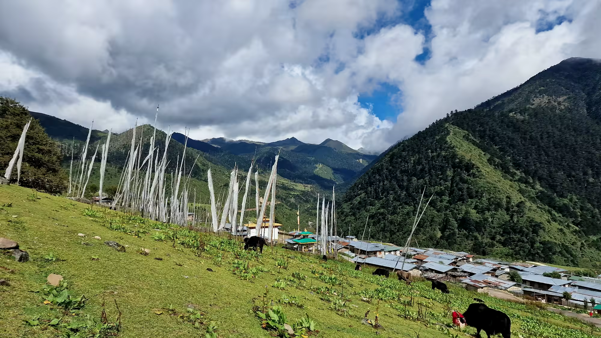 Yaks grazing above a Bhutanese highland village beneath shifting mountain clouds.
