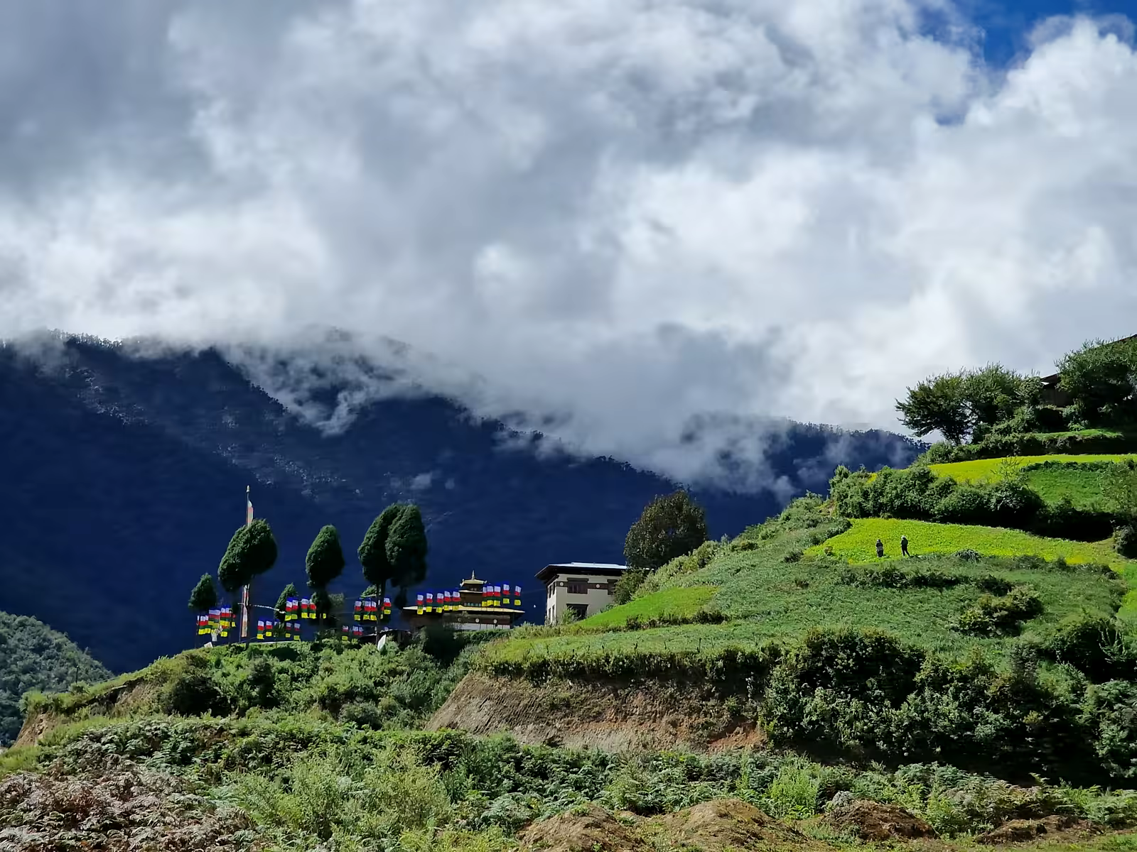 Bright green terraced fields beneath monsoon clouds in a Bhutanese mountain valley.