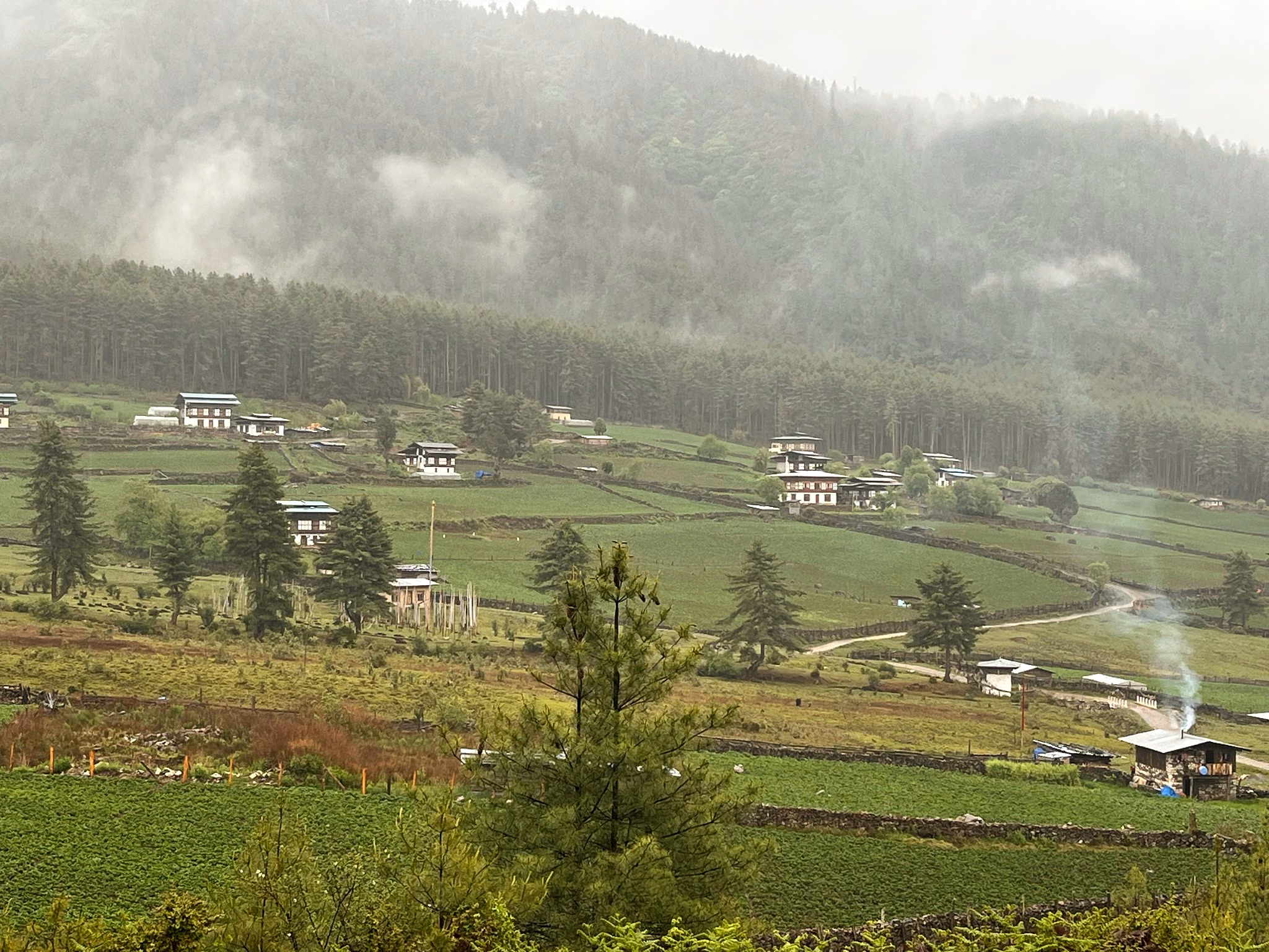 Green fields and traditional homes spread across a misty Bumthang valley in summer.