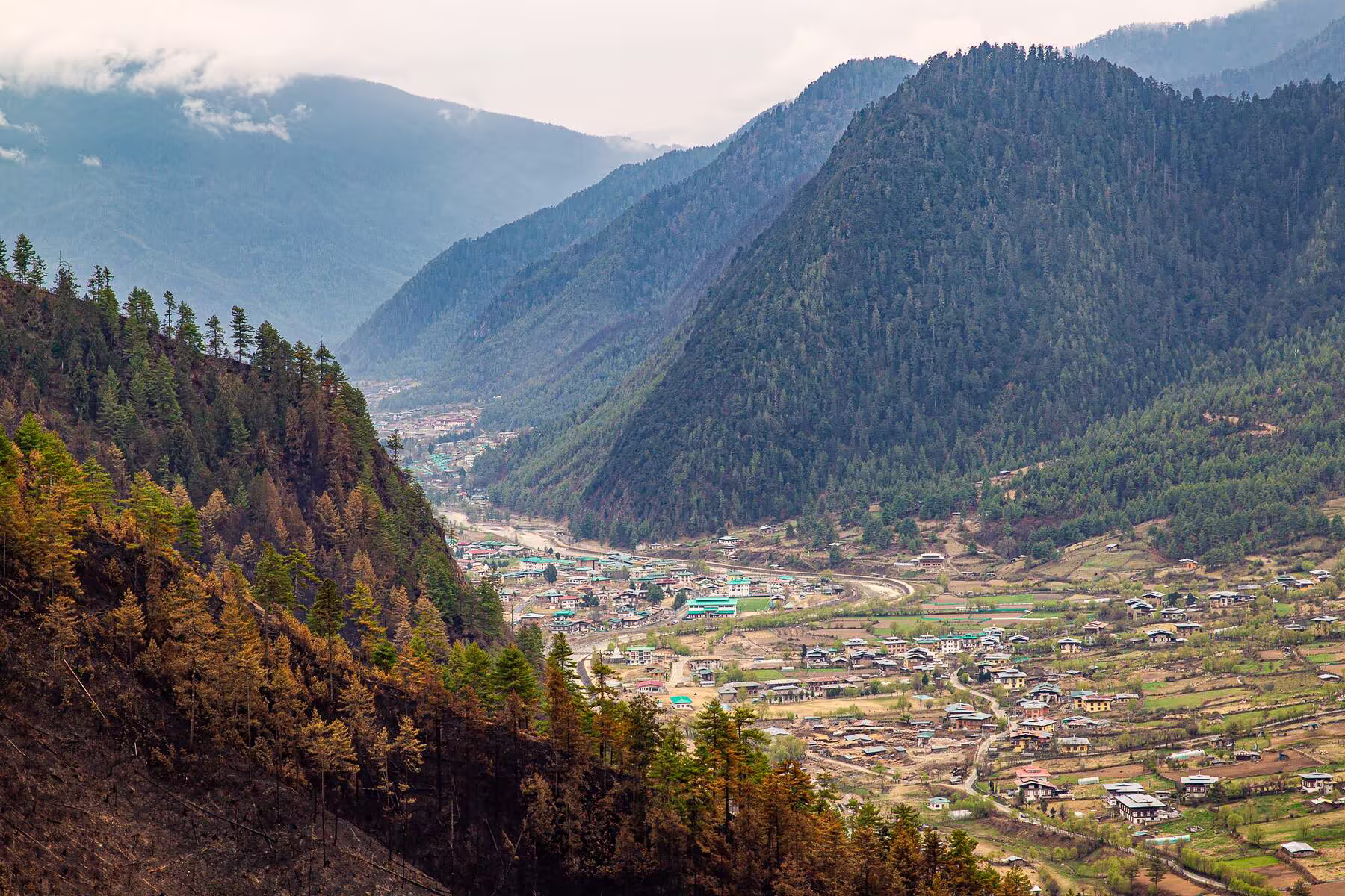 Haa Valley spreads beneath forested mountains in western Bhutan.