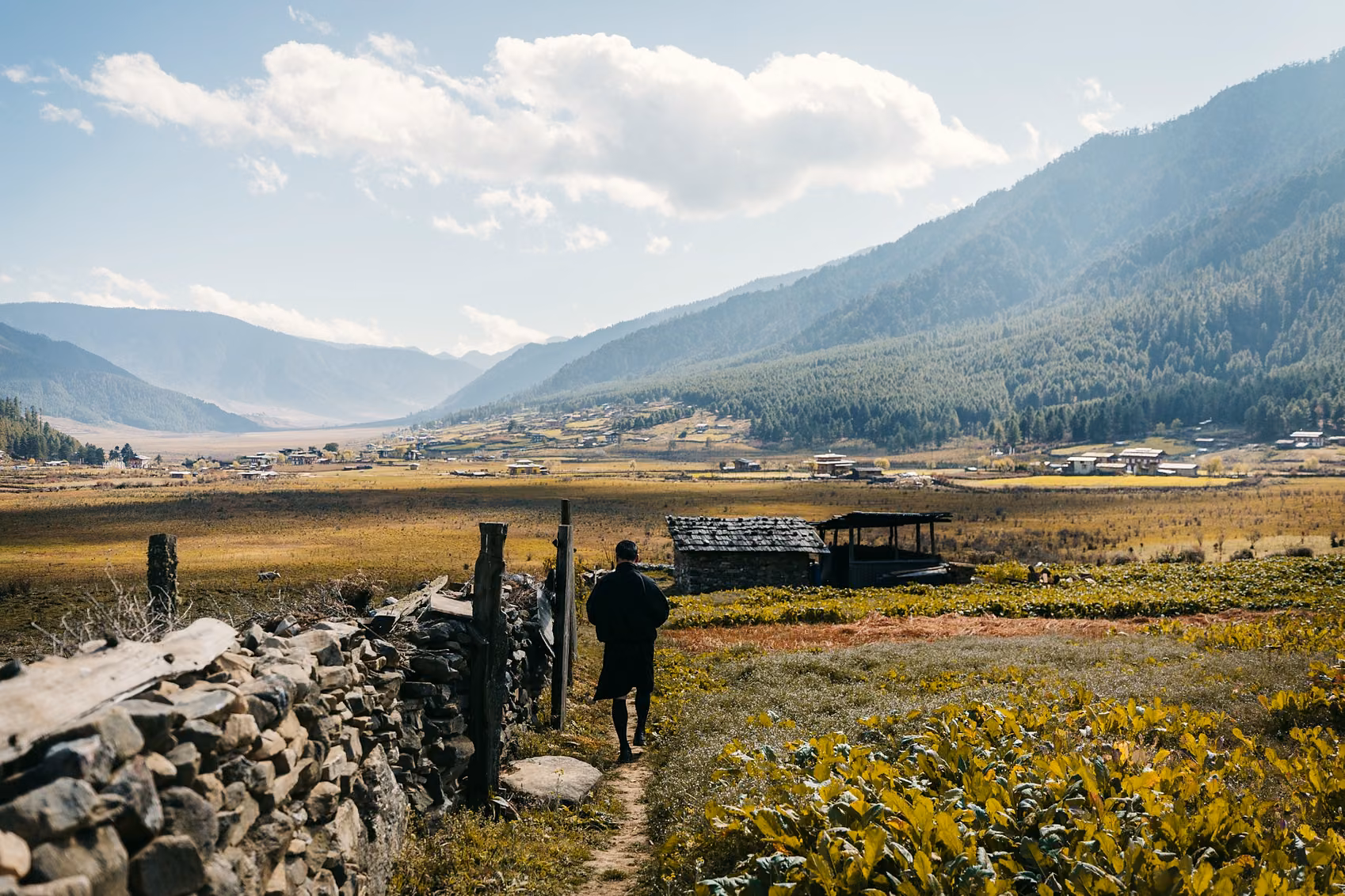 A traveller walks a farm path through the open landscape of Phobjikha Valley, Bhutan.