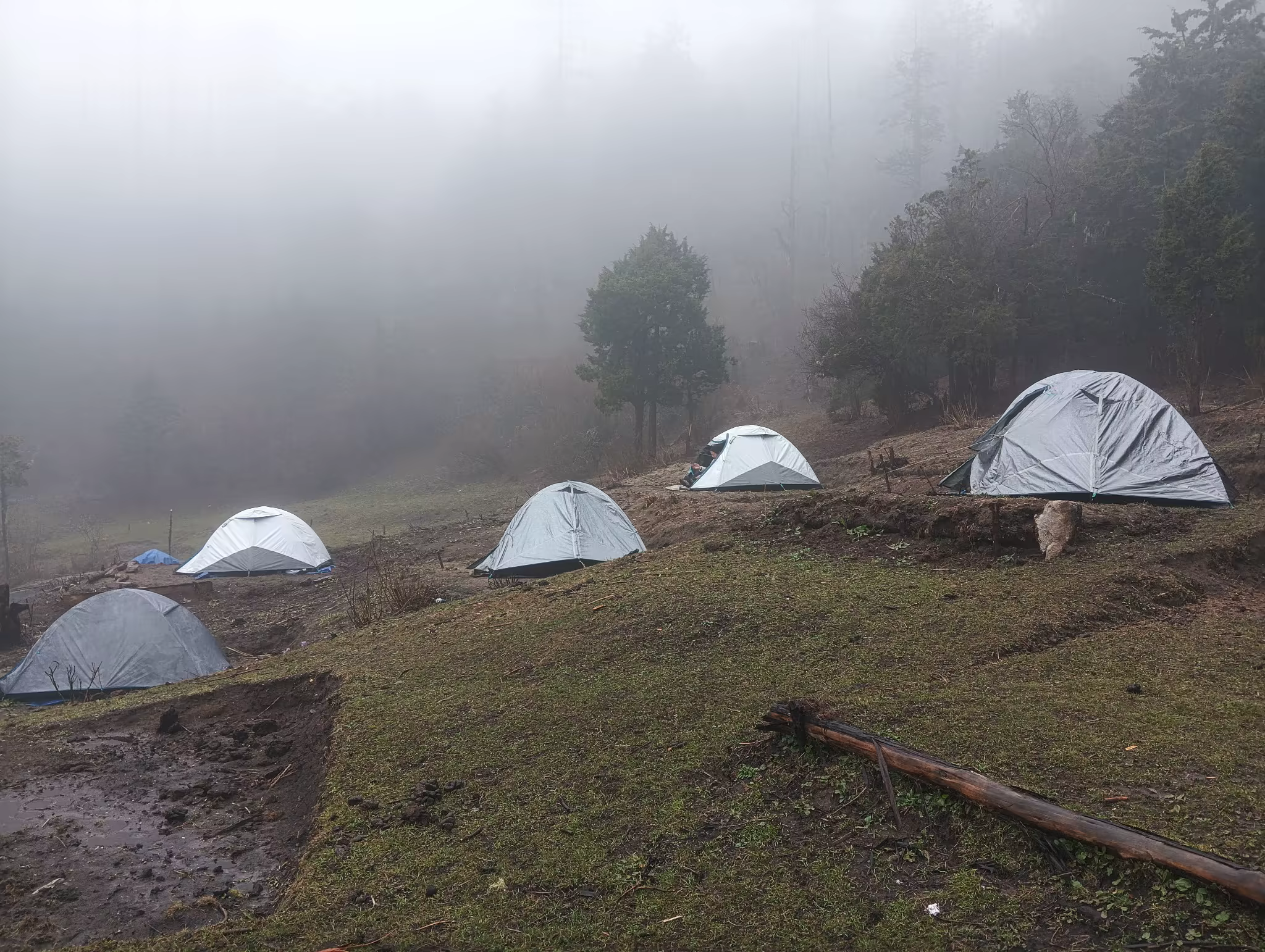 Trekking tents on a misty forest hillside in Bhutan.