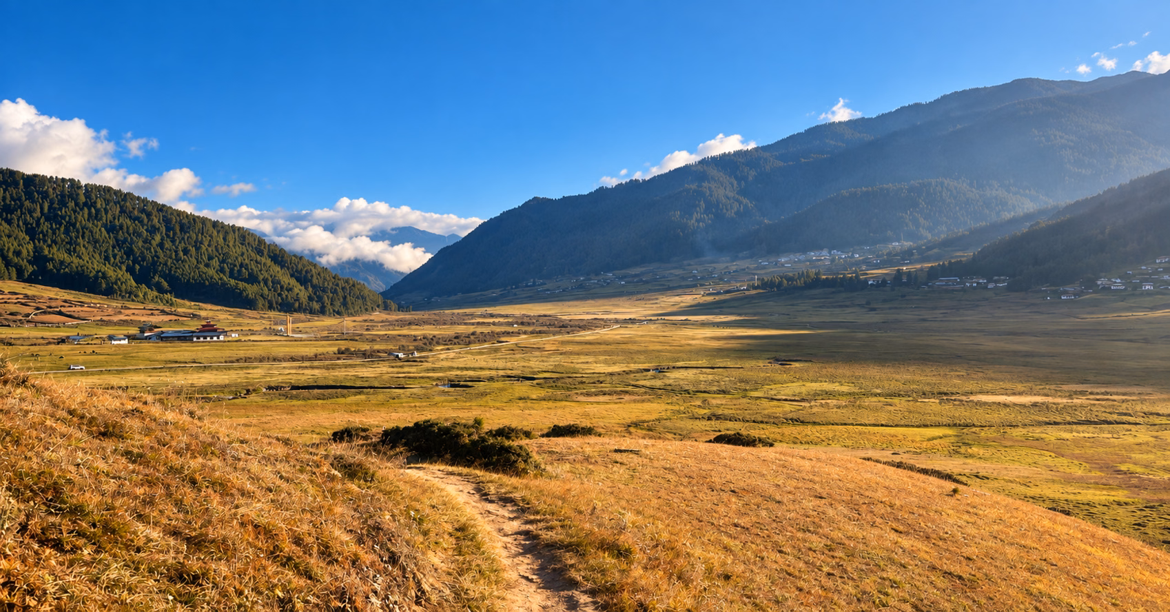 A walking path overlooking Phobjikha Valley near Gangtey, Bhutan